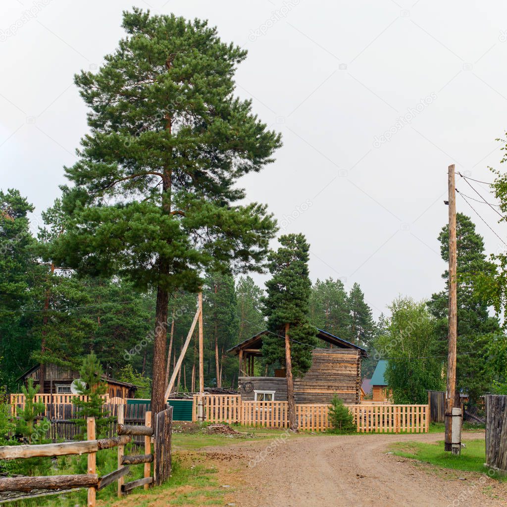 Fork of the village road with wooden houses made of pine in the Northern forest with satellite dish and wires.
