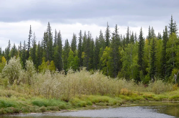 The ripples on the water a little wild and beautiful rivers in Yakutia, the wind makes ripples in the fir the tundra.