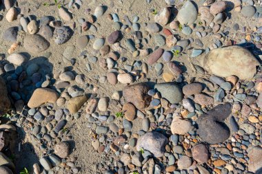 Taşlı kumlu sahil gündüz güneşiyle aydınlanır..