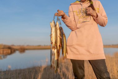 Yakut girl fisherman hard holds in the hands of many caught fish pike hanging on Fish Stringer on backdrop of lake in field with hidden the face of. clipart