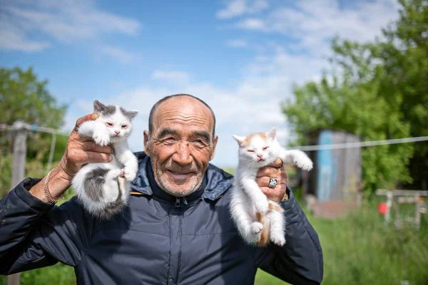 Asian old country man picks up two small white kittens smiling in his hands.