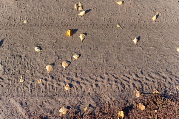 Reifenspur Von Auto Auf Trockenem Boden Mit Herbstlaub Und Gras — Stockfoto