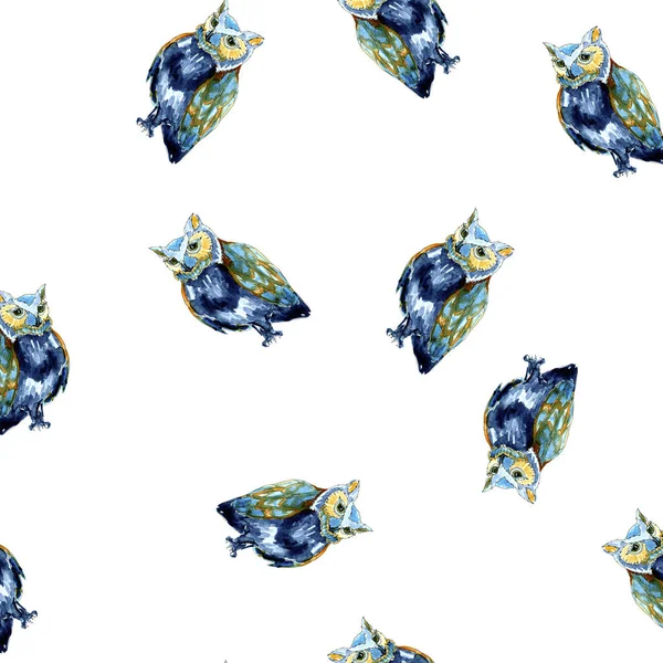 Acuarela búho caos azul patrón sin costuras en blanco —  Fotos de Stock