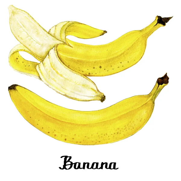 Acuarela dibujos animados caligrafía plátanos cartel —  Fotos de Stock