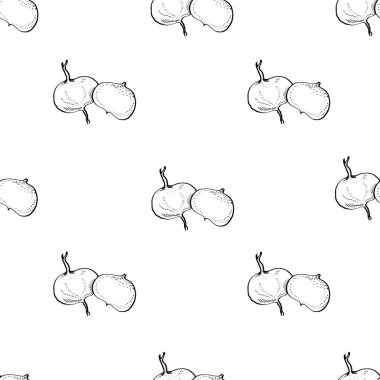 Kaligrafi yolu vektör renkli Jicama deseni