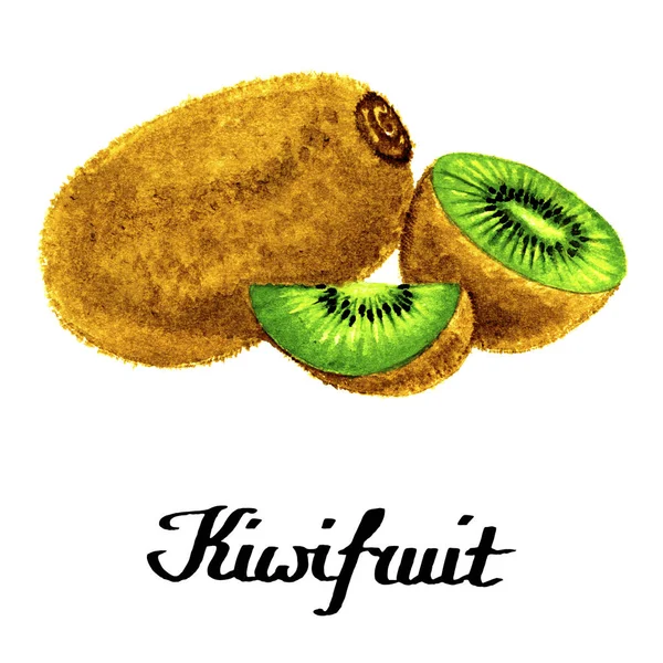 Caligrafia kiwis aquarela — Fotografia de Stock