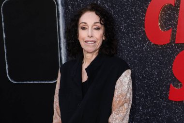 Heidi Fleiss Netflix 'in namı diğer Amerikalı aktör Charlie Sheen' in Los Angeles 'taki prömiyerine 4 Eylül 2025' te Netflix Tudum Tiyatrosu 'nda düzenlenen 1..