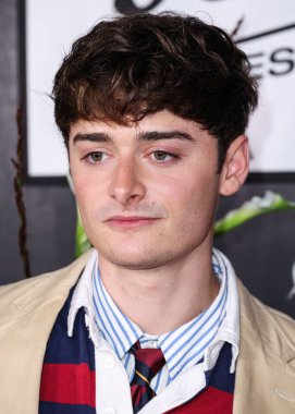 Kanadalı-Amerikalı aktör ve girişimci Noah Schnapp, 9 Eylül 2025 'te Hollywood, Los Angeles, Kaliforniya, ABD' de The Lot 'ta düzenlenen 30. Yıldönümü Süt Bıyığı Kutlamasına geldi..      