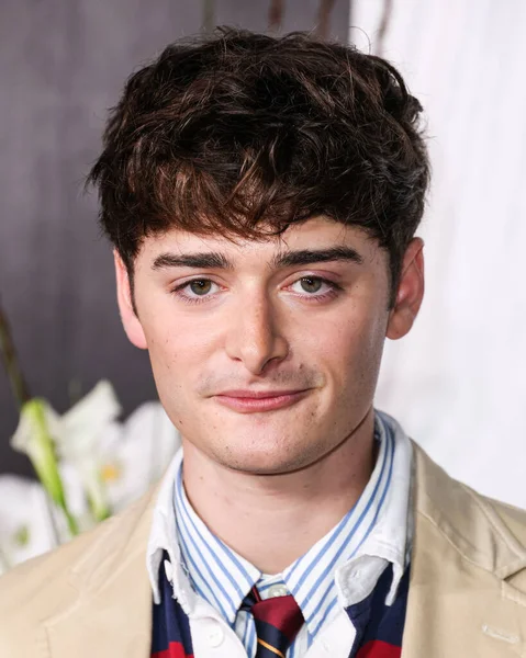 Kanadalı-Amerikalı aktör ve girişimci Noah Schnapp, 9 Eylül 2025 'te Hollywood, Los Angeles, Kaliforniya, ABD' de The Lot 'ta düzenlenen 30. Yıldönümü Süt Bıyığı Kutlamasına geldi..      