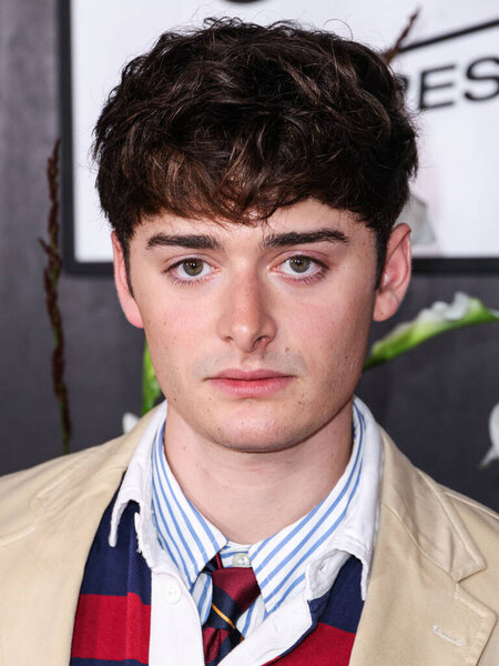 Канадско-американский актёр и предприниматель Ноа Шнапп прибывает на празднование 30-летия "Молочных усов" в Голливуде, Лос-Анджелес, Калифорния, 9 сентября 2025 года..      