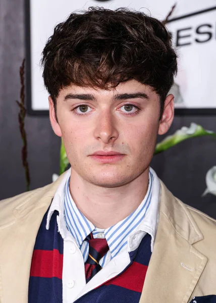 Kanadalı-Amerikalı aktör ve girişimci Noah Schnapp, 9 Eylül 2025 'te Hollywood, Los Angeles, Kaliforniya, ABD' de The Lot 'ta düzenlenen 30. Yıldönümü Süt Bıyığı Kutlamasına geldi..      