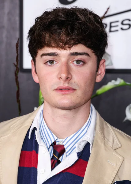 Kanadalı-Amerikalı aktör ve girişimci Noah Schnapp, 9 Eylül 2025 'te Hollywood, Los Angeles, Kaliforniya, ABD' de The Lot 'ta düzenlenen 30. Yıldönümü Süt Bıyığı Kutlamasına geldi..      