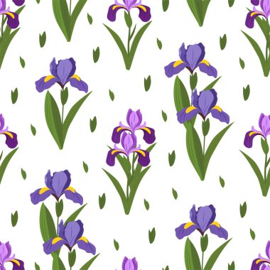 İris çiçeği pürüzsüz deseni. Vektör clipart, izole edilmiş arkaplan ile illüstrasyon.