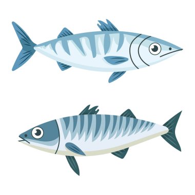 Şirin uskumru balığı. İzole edilmiş arkaplanda vektör clipart illüstrasyonu.