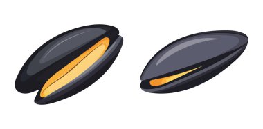 Midye. İzole edilmiş arkaplanda vektör clipart illüstrasyonu.