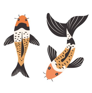 Koi balığı. İzole edilmiş arkaplanda vektör clipart illüstrasyonu.