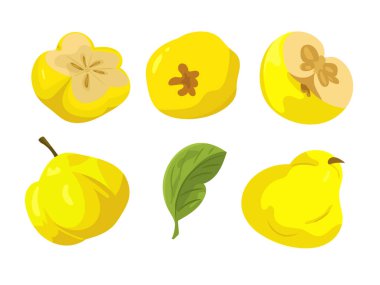 Ayva. Düz vektör, clipart illüstrasyonu beyaz arkaplanda izole edildi.