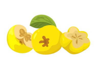 Ayva. Düz vektör, clipart illüstrasyonu beyaz arkaplanda izole edildi.