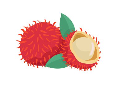 Rambutan, Chom Chom. Düz vektör, clipart illüstrasyonu beyaz arkaplanda izole edildi.