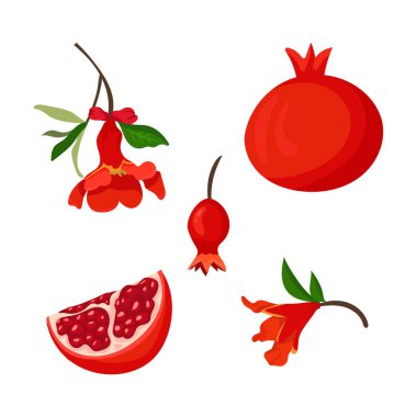 - Nar. Düz vektör, clipart illüstrasyonu beyaz arkaplanda izole edildi.