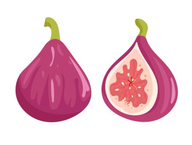 İncir. Düz vektör, clipart illüstrasyonu beyaz arkaplanda izole edildi.