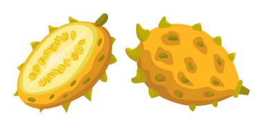 Boynuzlu Kavun. Düz vektör, clipart illüstrasyonu beyaz arkaplanda izole edildi.