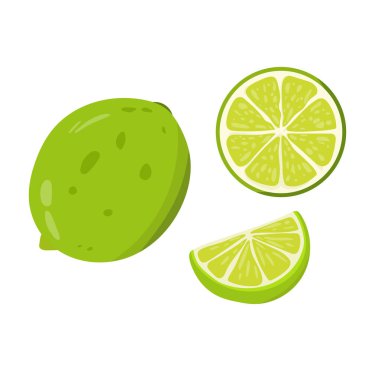 Kireç. Düz vektör, clipart illüstrasyonu beyaz arkaplanda izole edildi.