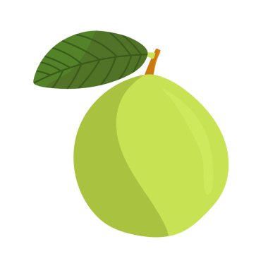 Guava. Düz vektör, clipart illüstrasyonu beyaz arkaplanda izole edildi.
