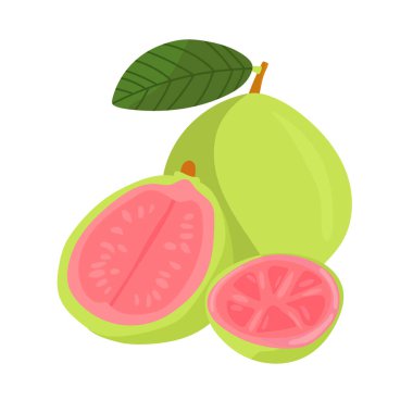 Guava. Düz vektör, clipart illüstrasyonu beyaz arkaplanda izole edildi.
