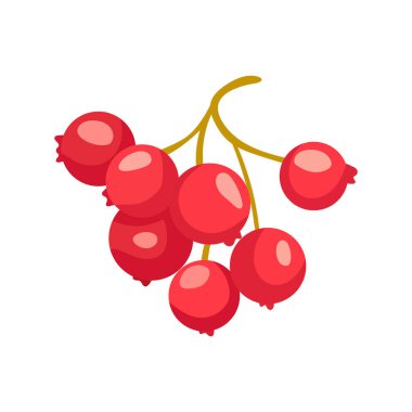 Yaban mersini. Düz vektör, clipart illüstrasyonu beyaz arkaplanda izole edildi.