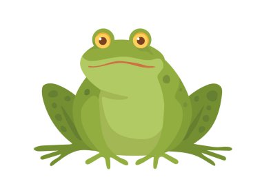 Şirin kurbağalar. Düz vektör clipart, izole edilmiş arkaplan ile illüstrasyon.