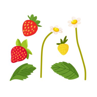 Çilekli. Düz vektör clipart, izole edilmiş arkaplan ile illüstrasyon.