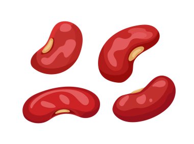 Kırmızı böbrek fasulyesi. Düz vektör clipart, izole edilmiş arkaplan ile illüstrasyon.