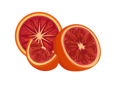 Kan portakalı. Düz vektör clipart, izole edilmiş arkaplan ile illüstrasyon.