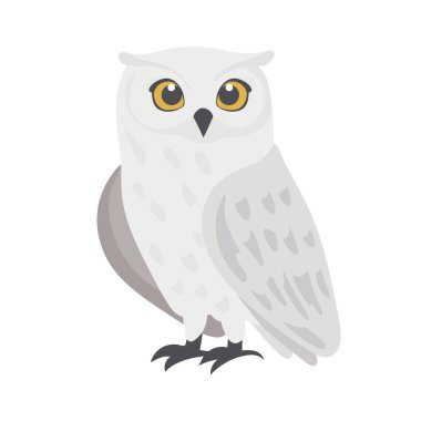 Şirin kutup baykuşu. Düz vektör clipart, izole edilmiş arkaplan ile illüstrasyon.