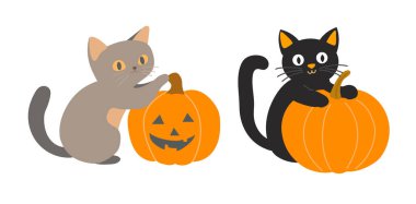 Kabaklı kedi. Düz vektör clipart, izole edilmiş arkaplan ile illüstrasyon.