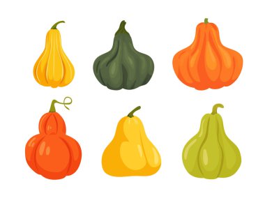 Balkabağı. Düz vektör clipart, izole edilmiş arkaplan ile illüstrasyon.