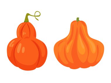 Balkabağı. Düz vektör clipart, izole edilmiş arkaplan ile illüstrasyon.