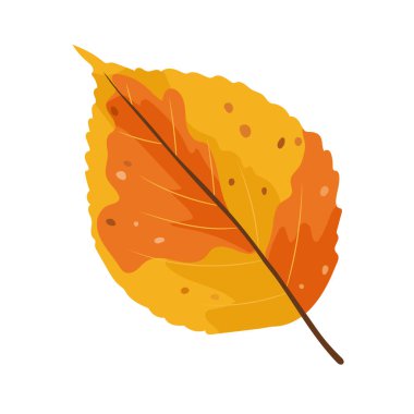 Beech sonbahar yaprağı. Düz vektör clipart, izole edilmiş arkaplan ile illüstrasyon.