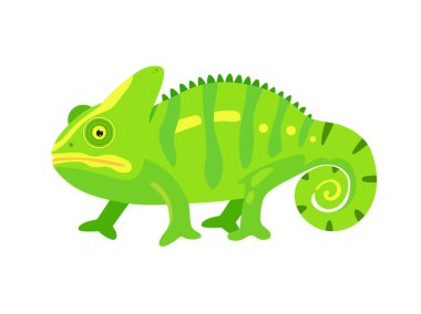 Şirin Yeşil Bukalemun. Düz vektör clipart, izole edilmiş arkaplan ile illüstrasyon.