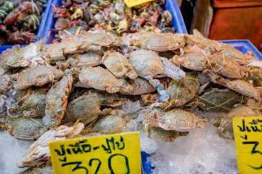 yerel pazarda taze yengeç