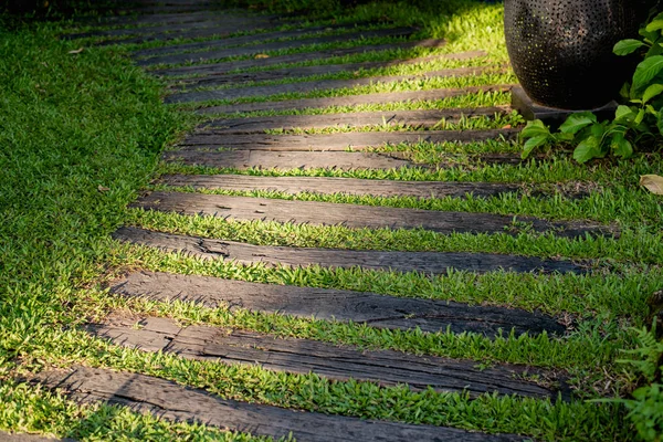 Stepping wooden on green grass, walkway in park