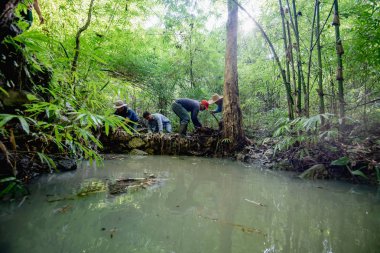 İnsanlar Weir Lampang, Thailand, dağda olun. 27 Eylül 2018