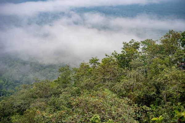 Nevoeiro Nuvem Altas Montanhas Tailândia — Fotografia de Stock