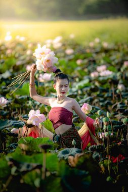 Asyalı kadın nilüfer çiçeği topluyor ve geleneksel Tayland elbiseleri giyiyor.