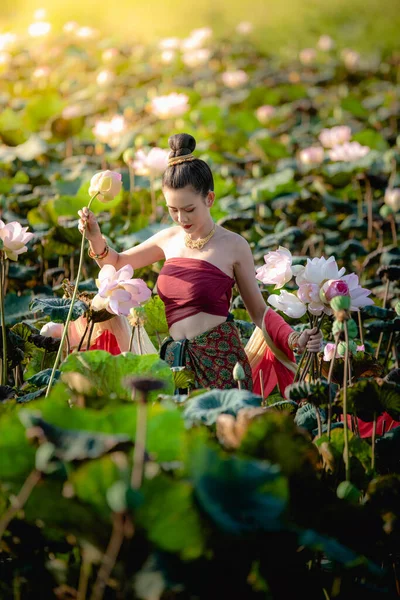 Азиатка собирает цветы лотоса и носит традиционные тайские платья — стоковое фото