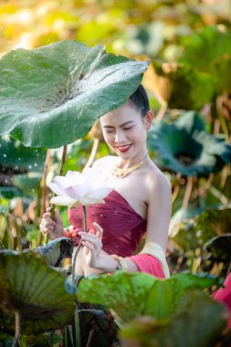 Asyalı kadın nilüfer çiçeği topluyor ve geleneksel Tayland elbiseleri giyiyor.