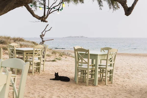 Tables Chairs Seaside Restaurant Standing Beach Milos Greece Black Cat — Stock Photo, Image