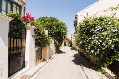 Atina, Yunanistan - Mayıs 2018: Atina ön plan üzerinde çiçek açan bush ile Plaka bölgesinde sokak