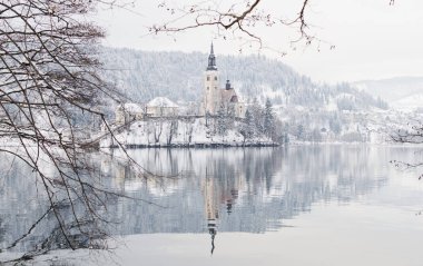 Bled, Slovenya - Ocak 2015: göl adada Gotik Kilisesi üzerinde görüntüleyin. Ağaç dalları çerçeveleme